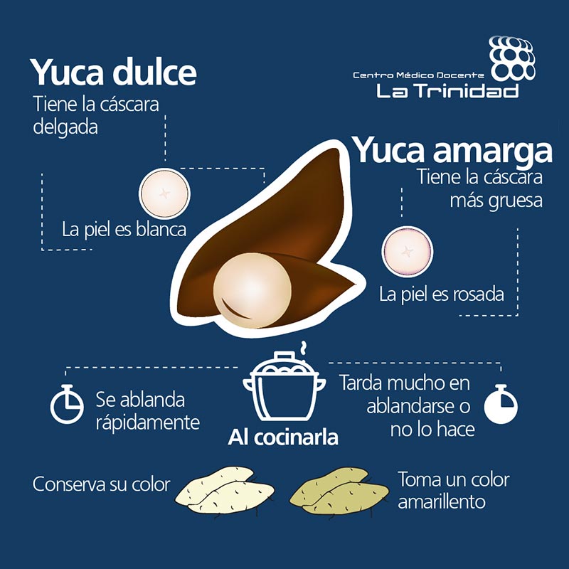 ¿Yuca dulce o amarga? Aprende a diferenciarlas