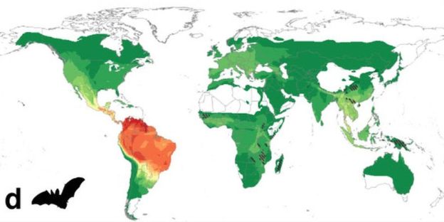El mapa mundial de peligros para la salud en el que América Latina aparece en rojo