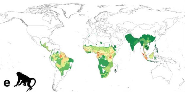 El mapa mundial de peligros para la salud en el que América Latina aparece en rojo