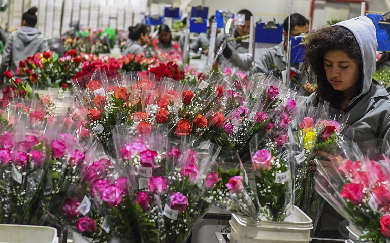 San Valentín, un alivio para la crisis de Cúcuta