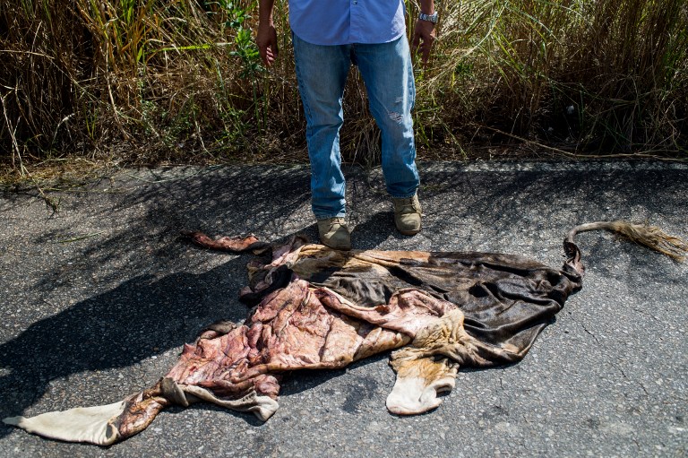 cuero ganado vaca