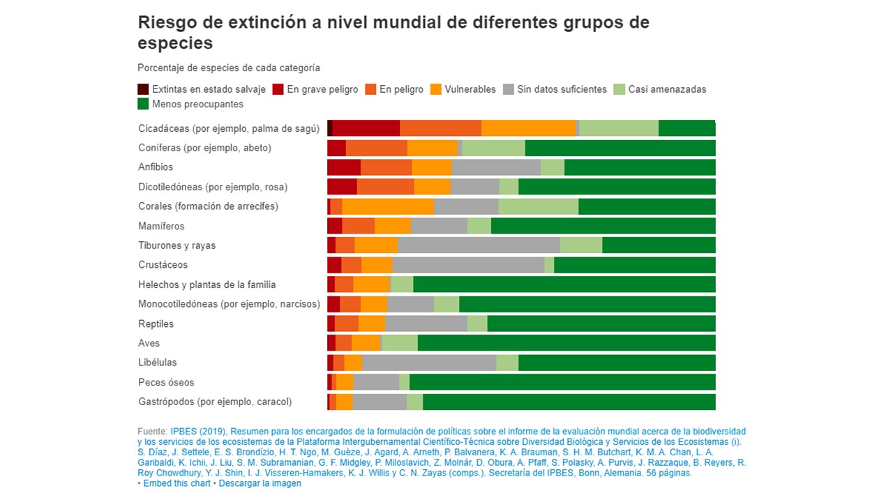 2019 en 14 gráficos según el Banco Mundial