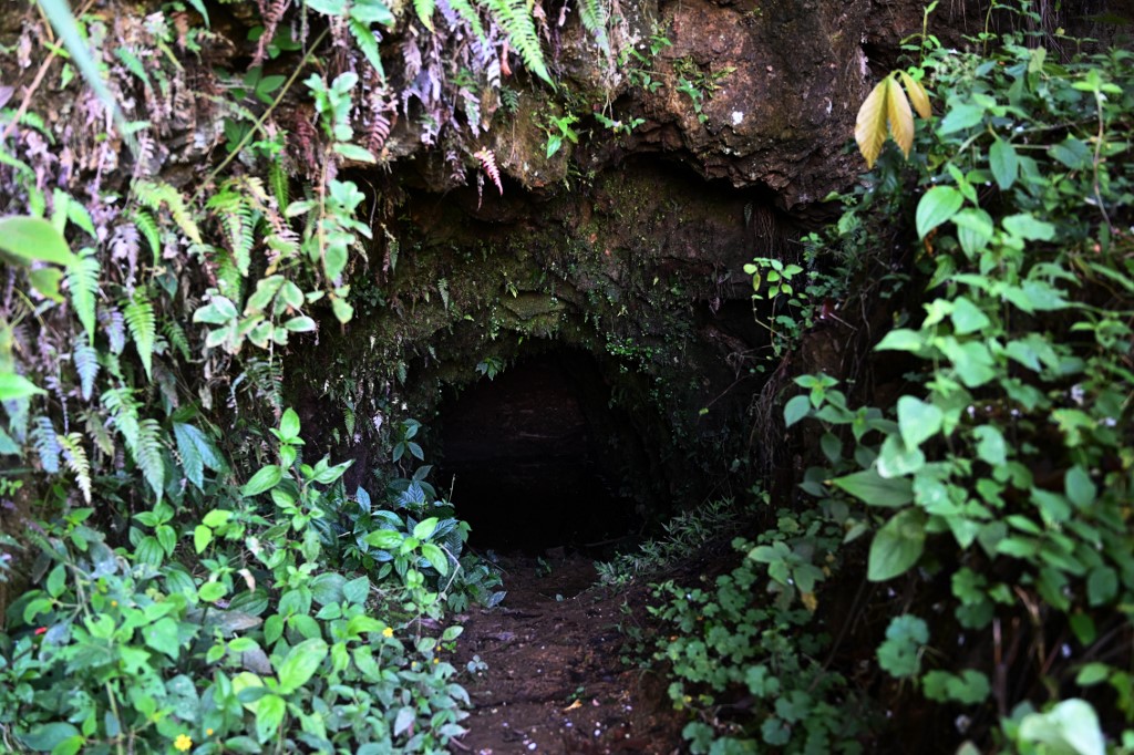 Las huellas de la minería en el bosque de Honduras, sesenta años después