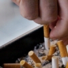 OMS insta a los gobiernos a elevar impuestos a los cigarrillos