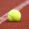 Operan a juez de silla tras pelotazo en Copa Davis