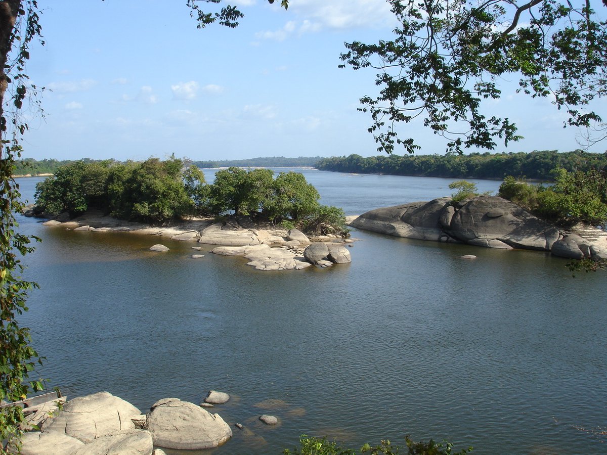 Gobierno anunció creación del Parque Nacional Caura - Banca y Negocios
