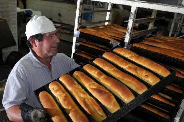 Proponen que harina sea distribuida por asociaciones de panaderos