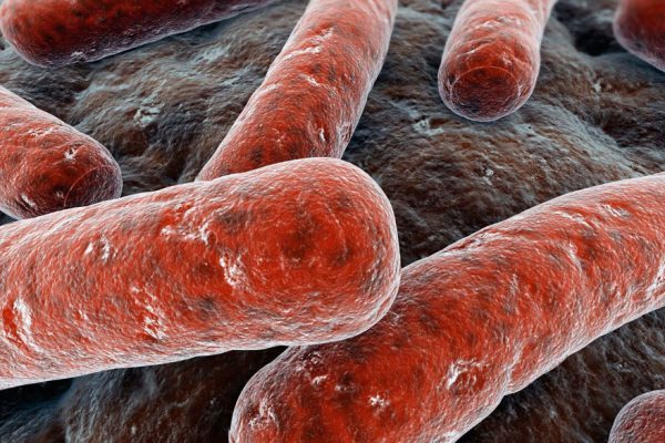 Crecen los casos de tuberculosis en el país