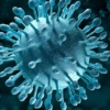 OMS: Existen 325 millones de personas con hepatitis y pocos lo saben