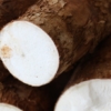 ¿Yuca dulce o amarga? Aprende a diferenciarlas