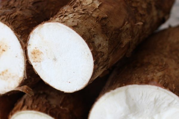 ¿Yuca dulce o amarga? Aprende a diferenciarlas