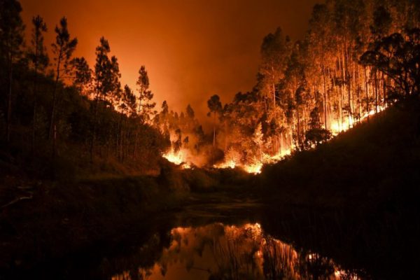 Se registran 57 muertos por incendio forestal en el centro de Portugal
