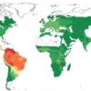 Un tercio de jóvenes en América Latina desestima riesgo de contagio de #Covid19