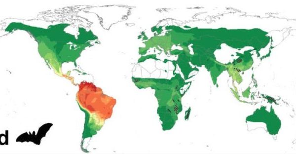 Un tercio de jóvenes en América Latina desestima riesgo de contagio de #Covid19