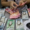 Las Pulgas: Mercado venezolano en el que los billetes abundan