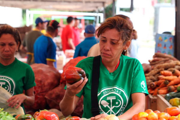 Gobierno incorporará cesta navideña a ferias del campo