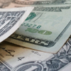 Dicom negoció $94.993,23 en la subasta 89 sin variar la tasa de cambio