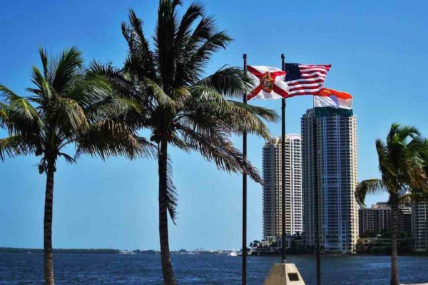 Miles de tiburones invaden costas del sur de Florida