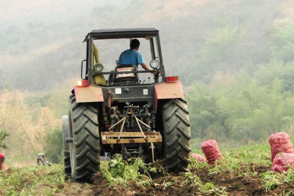 OIT: #Covid19 puede devastar empleo rural en América Latina y golpear seguridad alimentaria