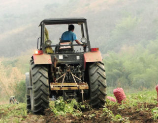 Gobierno proyecta avances económicos con planes de producción y distribución