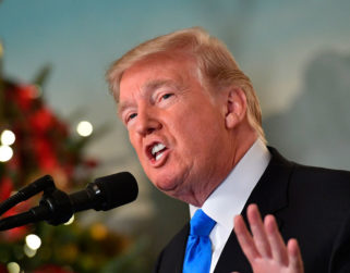 Subastan por $28.000 una estatua de Trump desnudo
