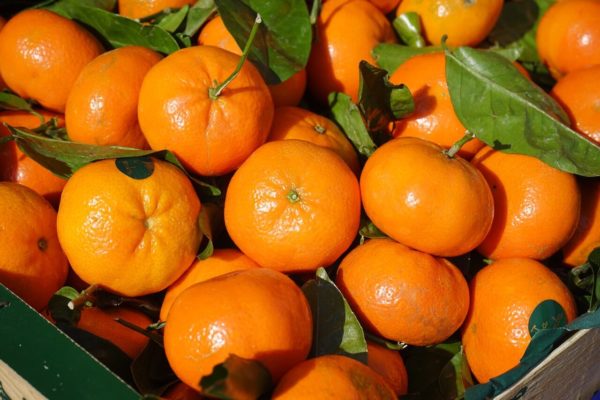 Seis beneficios de la mandarina para tu salud