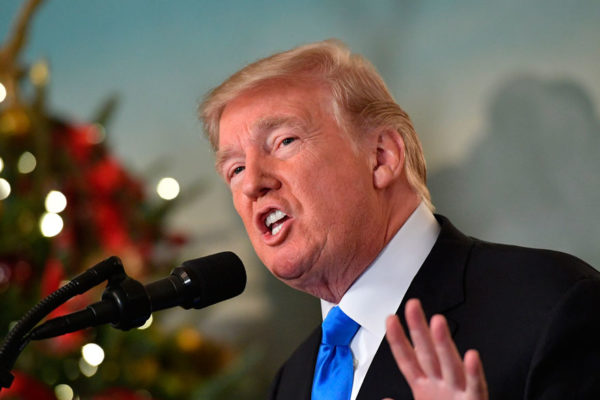 Subastan por $28.000 una estatua de Trump desnudo