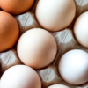 Precio de los huevos superó el salario mínimo
