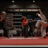 «Cobra Kai» devuelve la fiebre por «The Karate Kid» más de 30 años después