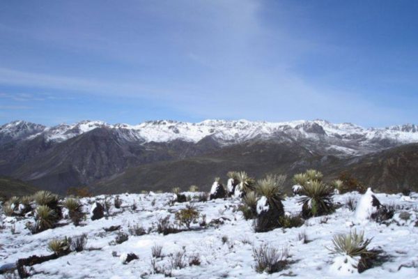 Reportan nevadas en páramos merideños