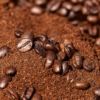 Costa Rica aumentó 11,5% su producción de café en cosecha 2019-2020