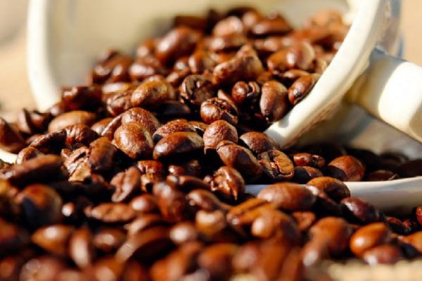 Productores de café recurren al trueque para poder movilizar insumos y producción