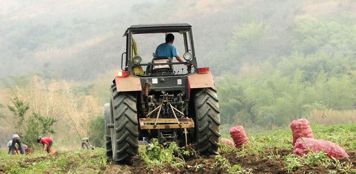 Requieren 50 millones de litros de gasoil para culminar ciclo de cosecha en Portuguesa