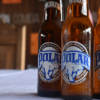 Polar trae la segunda edición del «Oktoberfest de Caracas»