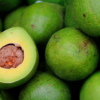 Productores de aguacate en Latinoamérica ven un futuro prometedor y eficiente