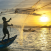 Prohibida la pesca de Cachama y Camarón hasta julio