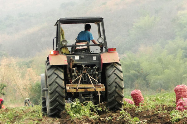 Fedeagro estima más de 13.000 hectáreas de leguminosa perdidas por escasez de diésel