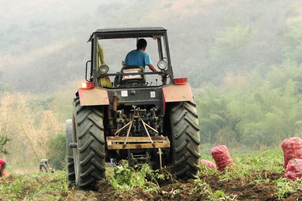 Maduro promueve un millón de conucos como vía para impulsar producción agrícola