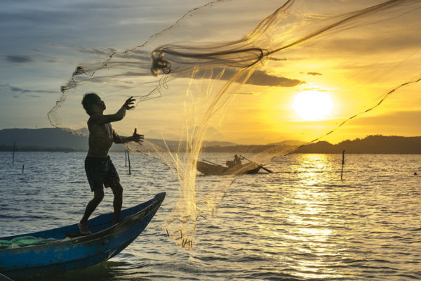 Acuicultura ecológica, alternativa ante creciente demanda de pescado