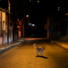 Miedo a la delincuencia deja desiertas las noches de Caracas