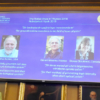 Nobel de Física para una mujer por primera vez en 55 años