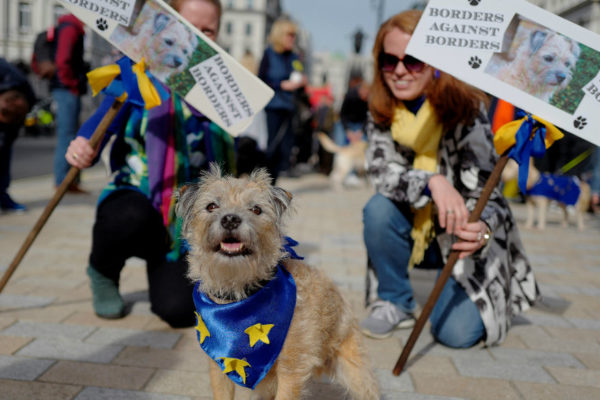 Cientos de perros ladran en Londres contra el Brexit