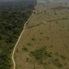 Ecuador logra producción récord de crudo en área protegida del Amazonas