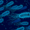 La «Legionella»: Lo que debe saber sobre esta bacteria que produce neumonía