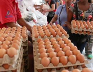 Cierre de 138 granjas avícolas en Táchira pone por las nubes el precio de los huevos