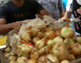 Productores agropecuarios gastan más de 50% de sus precarias ganancias en combustible