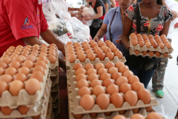 Cierre de 138 granjas avícolas en Táchira pone por las nubes el precio de los huevos