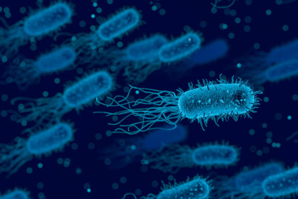La «Legionella»: Lo que debe saber sobre esta bacteria que produce neumonía
