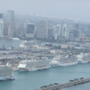 Puerto de Miami supera récord de 52.000 pasajeros de cruceros en un día