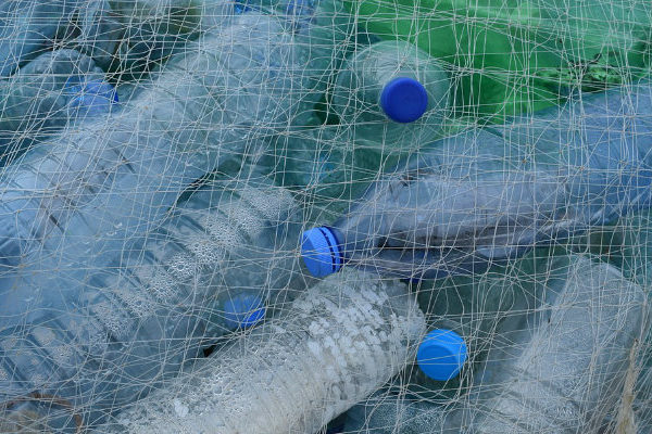 Con ecomoneda se cambian botellas plásticas por boleto de transporte